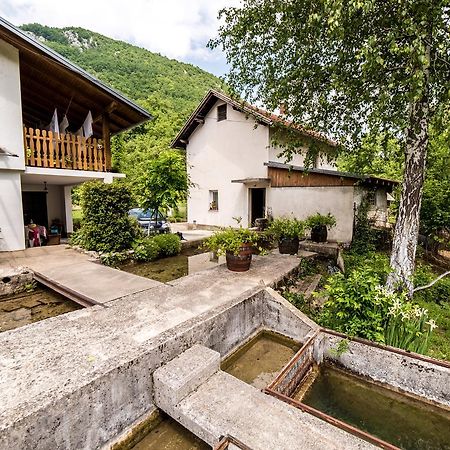 BihaćEko House Dobrenica别墅 外观 照片