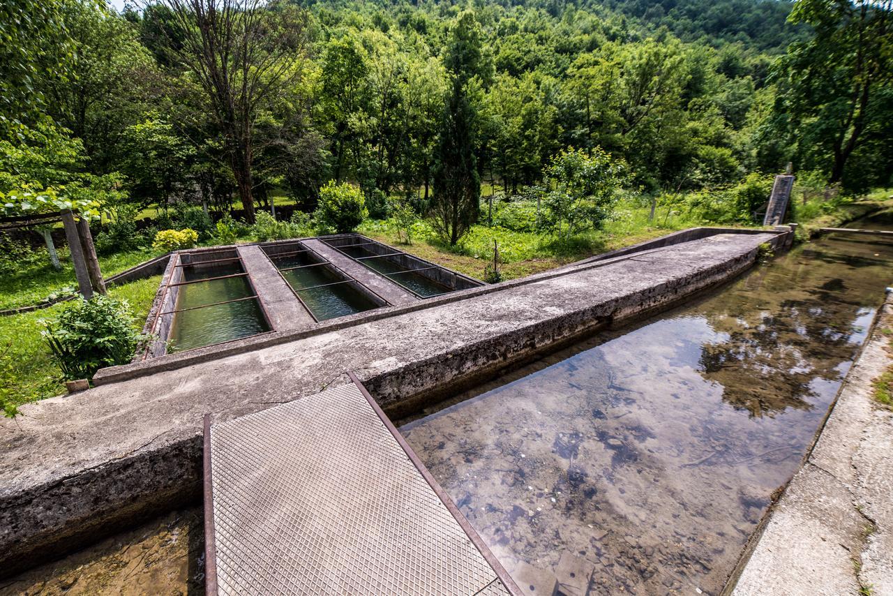 BihaćEko House Dobrenica别墅 外观 照片