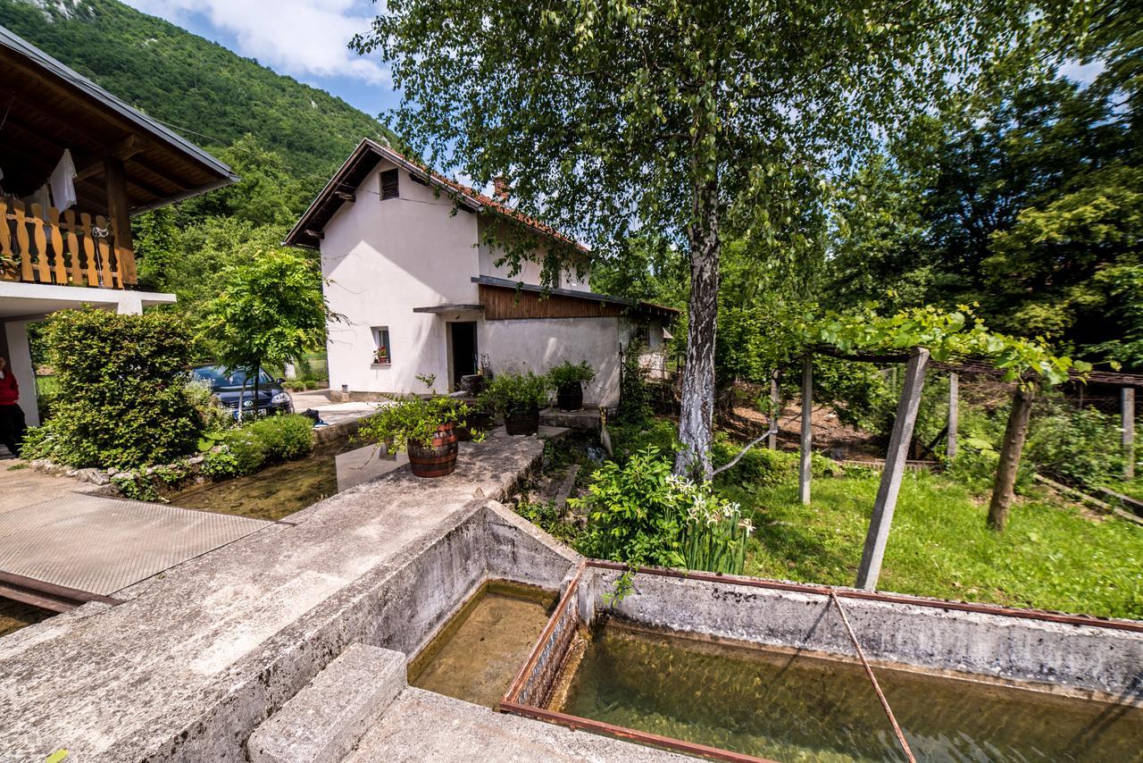 BihaćEko House Dobrenica别墅 外观 照片
